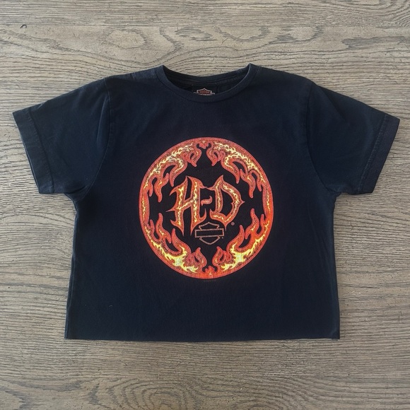 Harley-Davidson Tops - Harley-Davidson Flame Logo Crop Top Louisiana Bravado Y2K Biker Streetwear